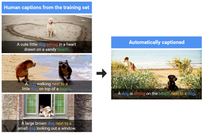 解析：Google开源的“Show and Tell”，是如何让机器“看图说话”的？